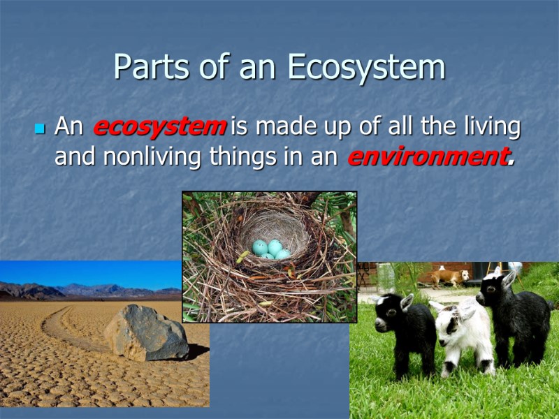 Parts of an Ecosystem An ecosystem is made up of all the living and